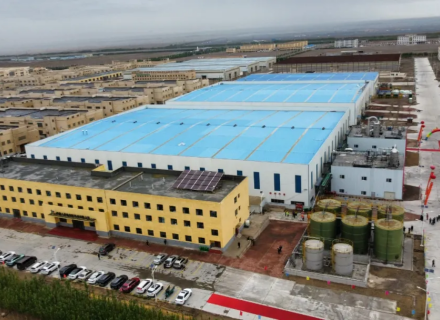 7790�ط�����(�й�)���޹�˾-�ѹ��ٿ�